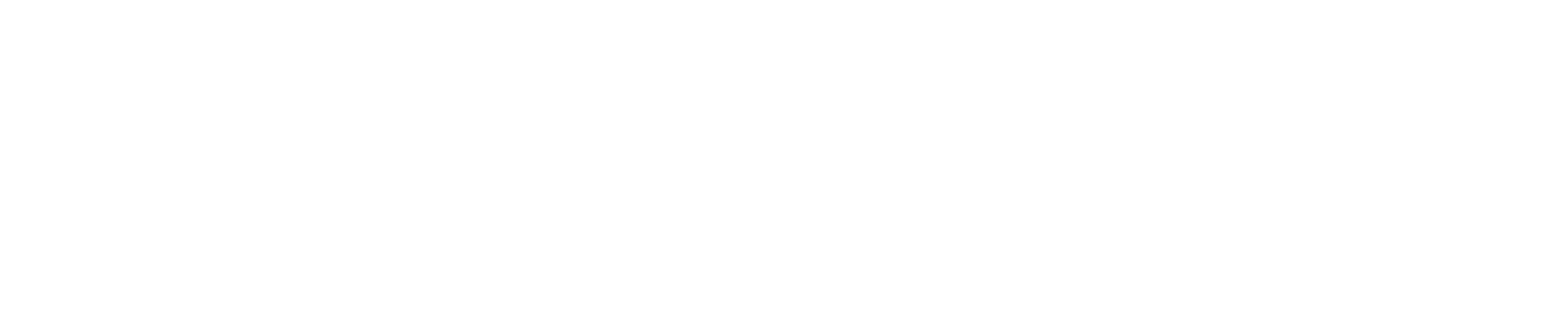 Wordcess: Your Guide to WordPress, Blogging & Digital Products