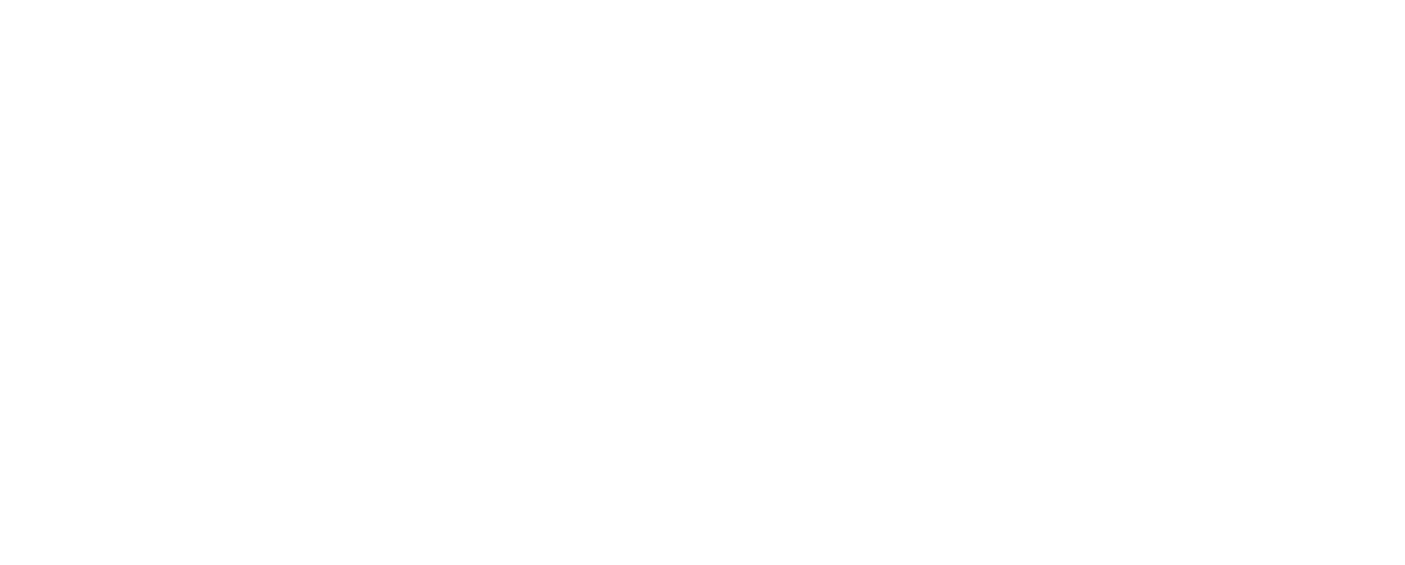 Wordcess: Your Guide to WordPress, Blogging & Digital Products